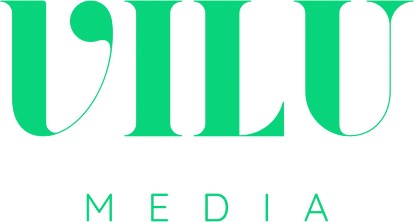 VILU Media – Social Media & Marketing mit System